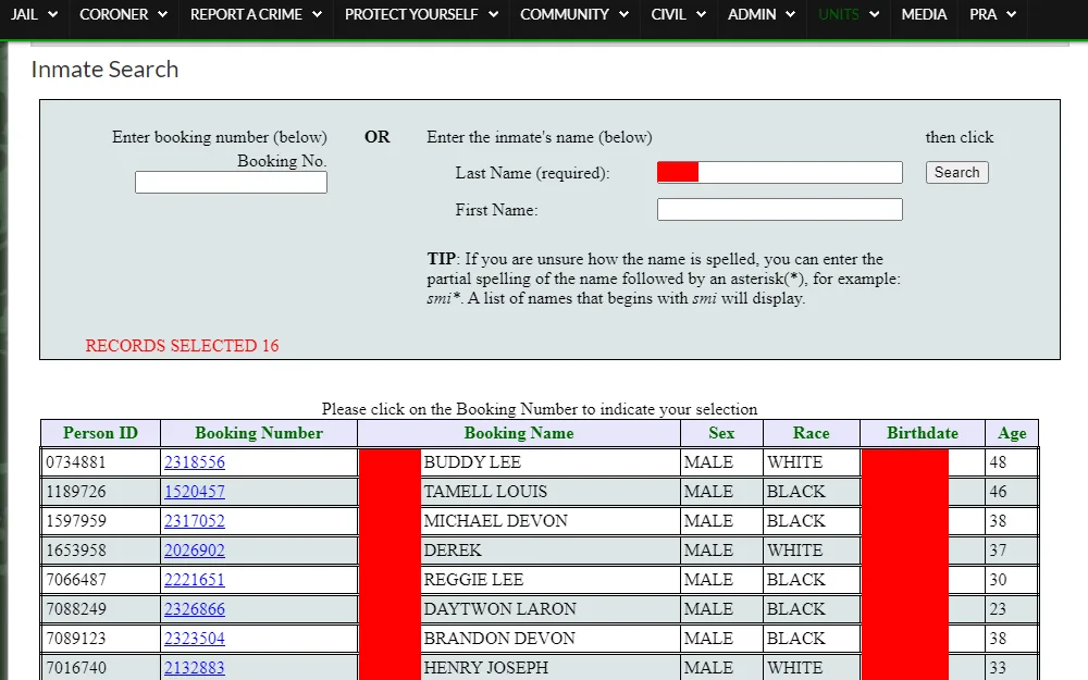 A screenshot of the Inmate Search tool with its sample results available on the Fresno County Sheriff Department's website that is searchable by providing the booking number or the inmate's name, which will show each inmate's person ID, booking number, booking name, sex, race, birth date, and age.