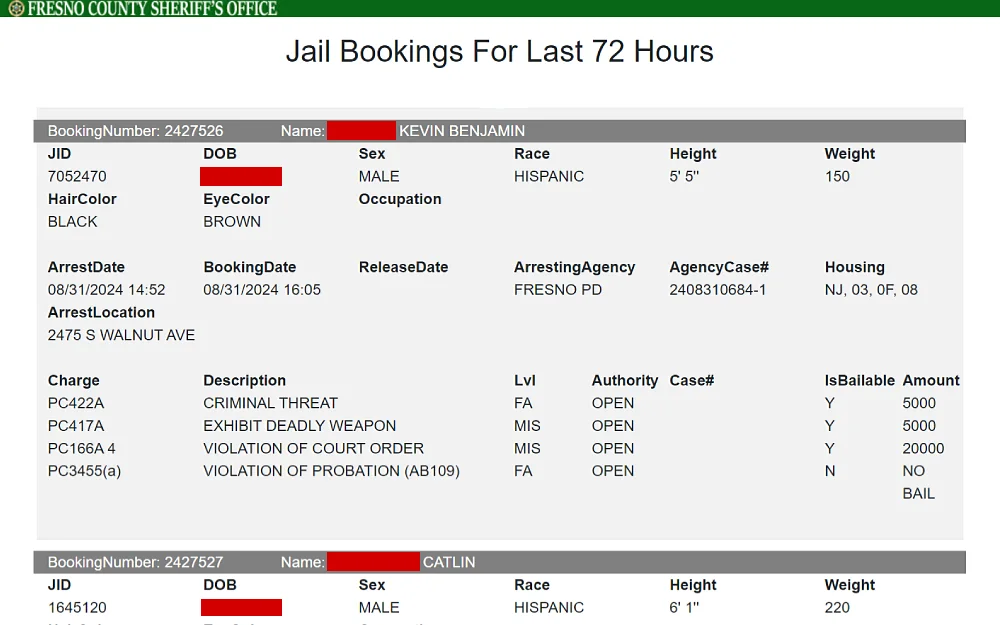 A screenshot displaying the jail bookings for the last 72 hours from the Fresno County Sheriff’s Office website shows the booking number, name, JID, date of birth, sex, height and weight, race, and others.